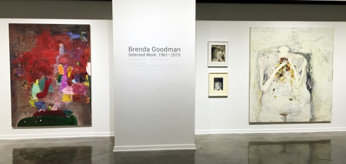 B. Goodman Installation 11,2015